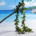 /msite/products/detail/productid/63336232/id/1519436.html
